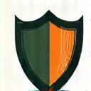 Icon showing shield and impact lines